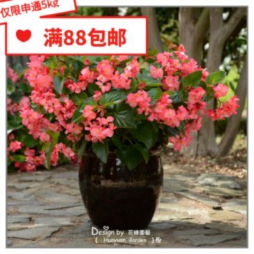 拿去花如何取现全攻略