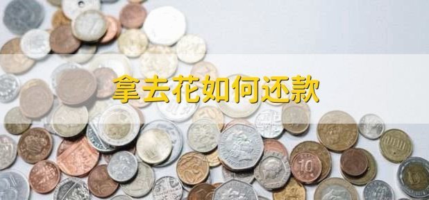 拿去花怎么取现