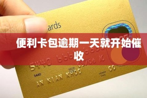 便利卡包与即时借贷的秘密