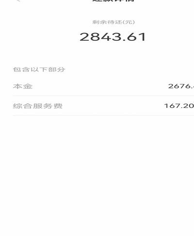 逾期还款的影响及应对策略