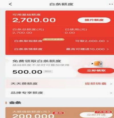 商家开通白条能借多少？额度解析与使用指南