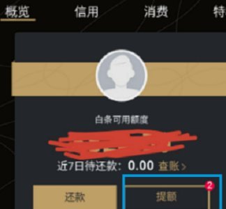 白条的额度怎么套出来