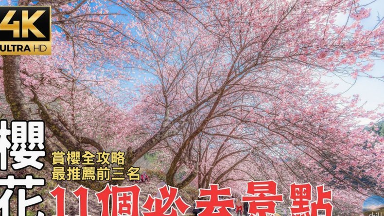 分期花呗：安全可靠的消费信贷平台？
