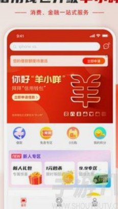 羊小咩提现遇阻背后的原因解析
