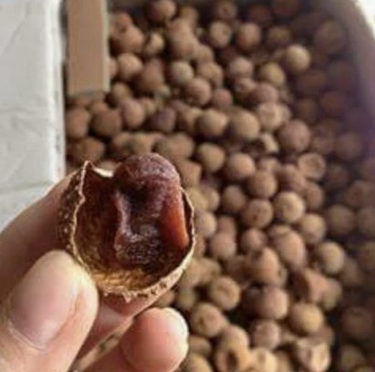 便荔卡取现：隐藏成本与风险
