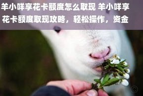 羊小咩取现额度多久到账