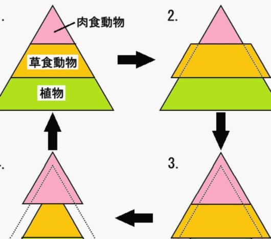 得物现金账户背后的秘密生态链