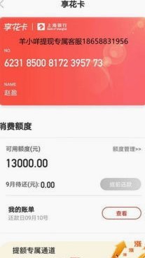 羊小咩享花卡2021怎么套现