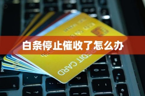 白条催收：协商技巧与应对指南