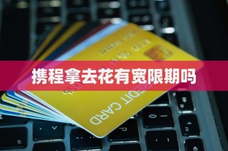 携程拿去花使用方法
