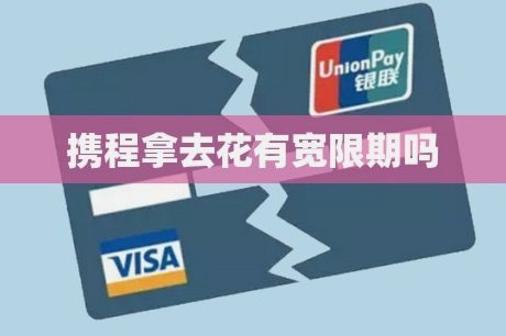 携程拿去花：哪些商家接受现金还款？一文看清！