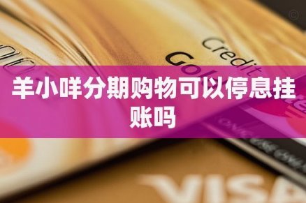 羊小咩还款可以分期吗
