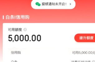 白条怎么安全套现