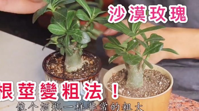 花呗套现的真相：你以为的方便，可能是隐形债务陷阱