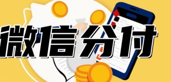 一次性支付1000元，分付能做到吗？