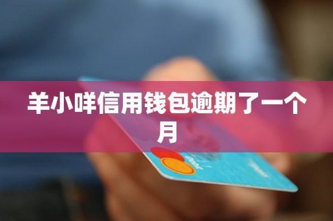 羊小咩借款的位置在哪里
