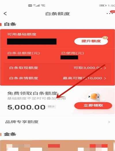 白条取现额度是什么意思