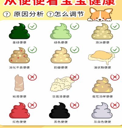 便便卡使用指南
