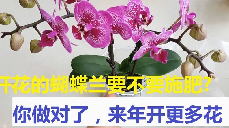 频繁套花呗会怎样