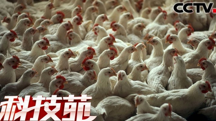 白条取现的额度能提高吗