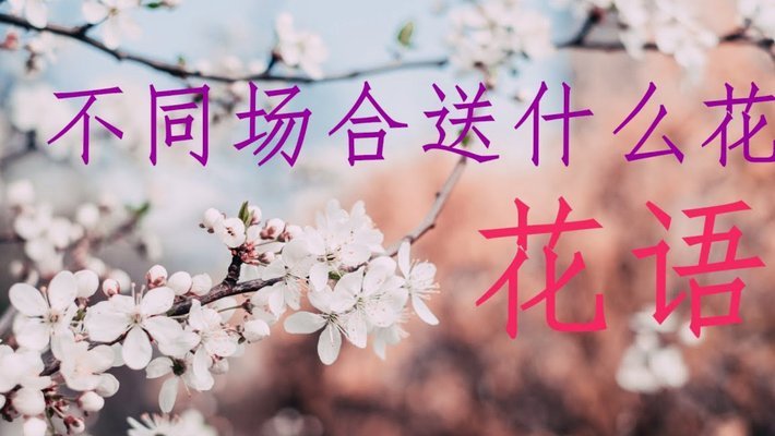 拿去花能套出来吗 秒懂百科