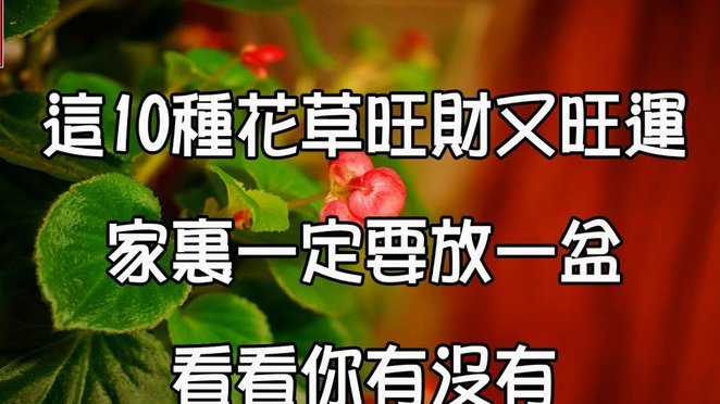花呗套现真的有手续费吗？多少钱？