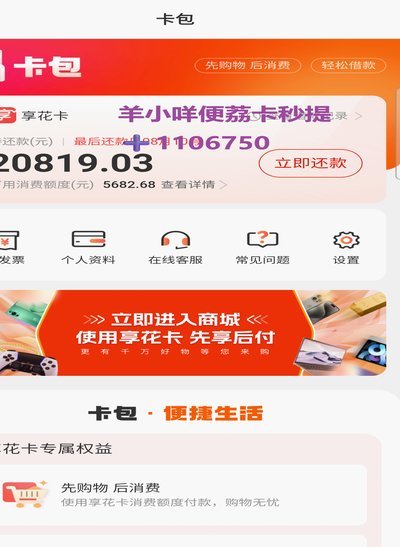 羊小咩便荔卡包额度怎么取出来