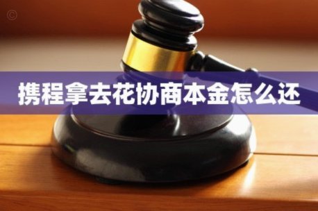 携程“拿去花”购物指南
