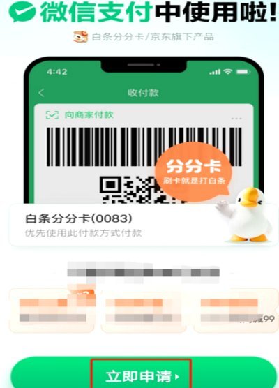 白条的钱怎么借出来啊