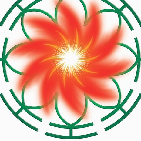 享花卡平台详解：机遇与挑战