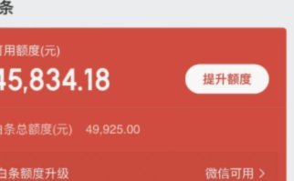 白条在哪里借钱