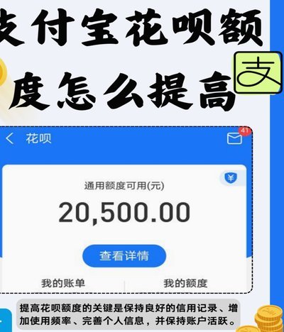 花呗转钱：信用额度的流动性转换
