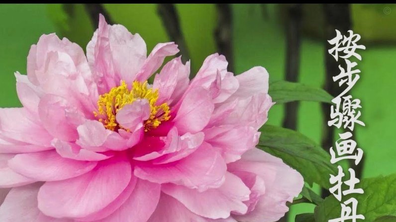 花呗备用金还了还能再借吗？
