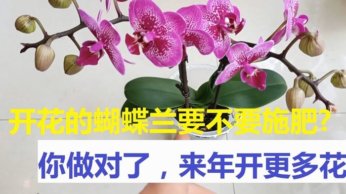 花呗的备用金还了接着能取出来吗