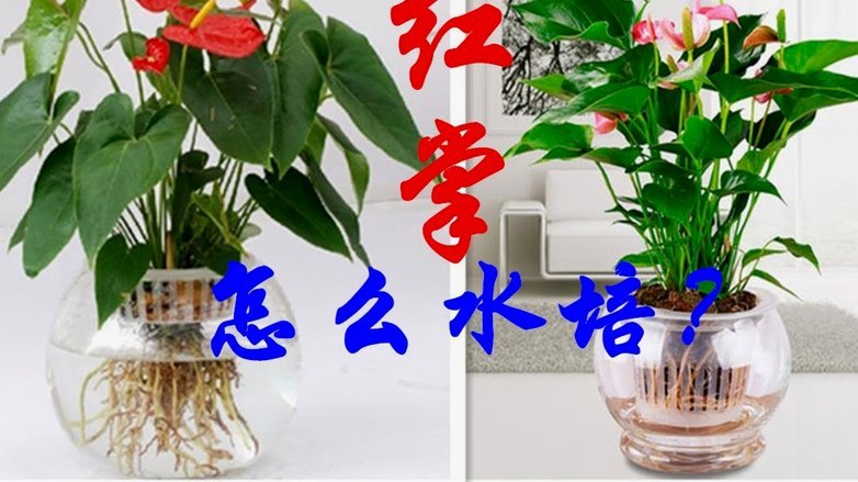 怎么样可以套点花呗