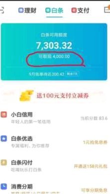 白条支付方式全解析