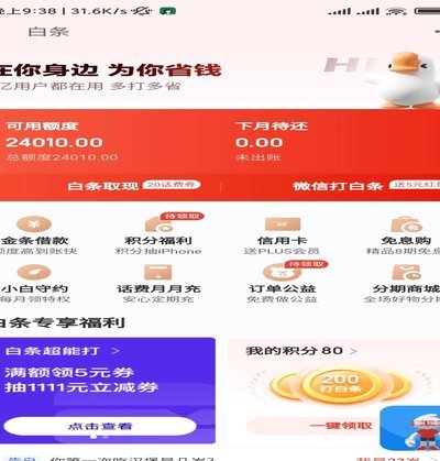 白条怎么借钱出来 秒还款