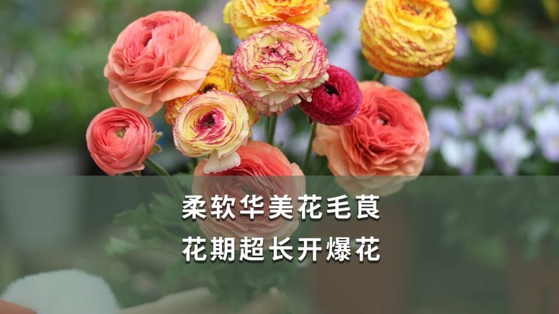 携程现金还款指南 轻松周转资金