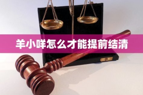 羊小咩贷款如何提前还清？