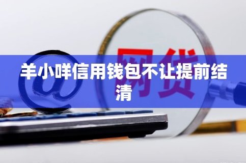 羊小咩怎么提前结清