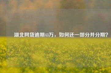 网贷逾期了无力偿还怎么办呢有影响老婆吗
