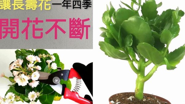 想套取额度？这些隐形成本与风险需警惕